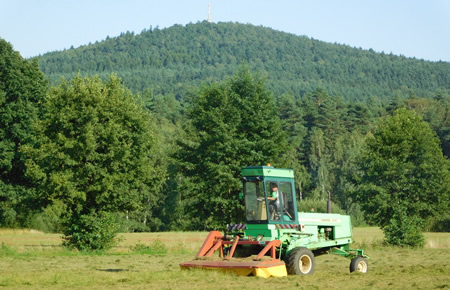 Fortschritt Schwadmäher E303