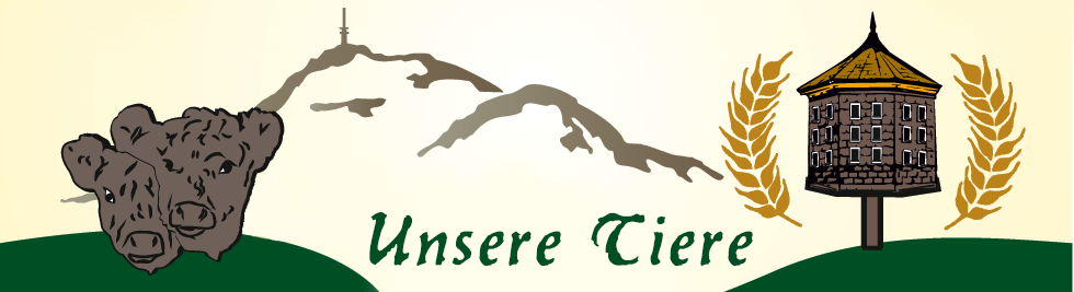 Biohof Kaiser GbR - Ökologischer Landbau